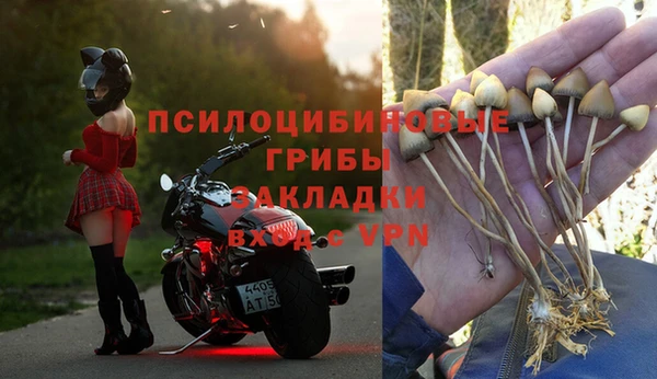 гидропоника Алексин