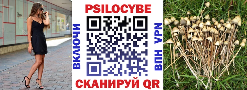 Псилоцибиновые грибы мухоморы Аркадак